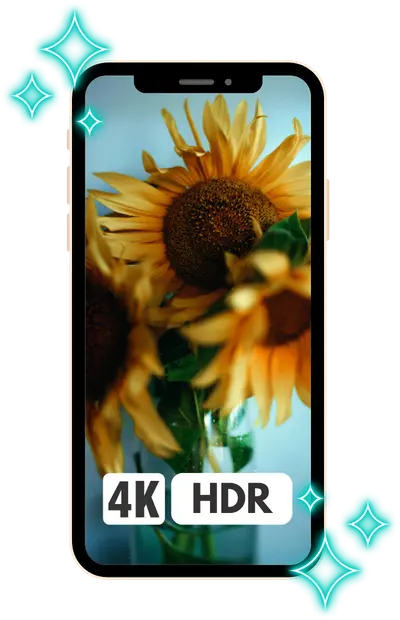 Home 11 4K and 60FPS Video